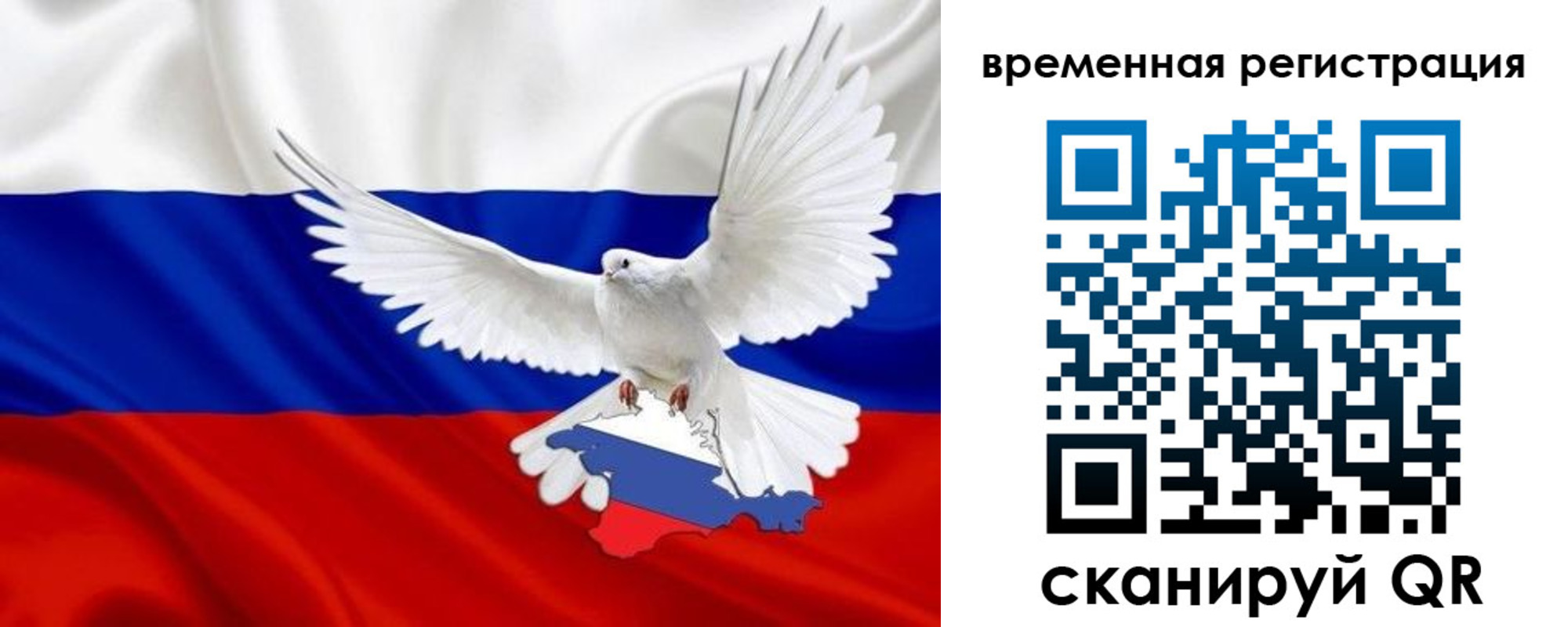 прописка законно в Завитинске
