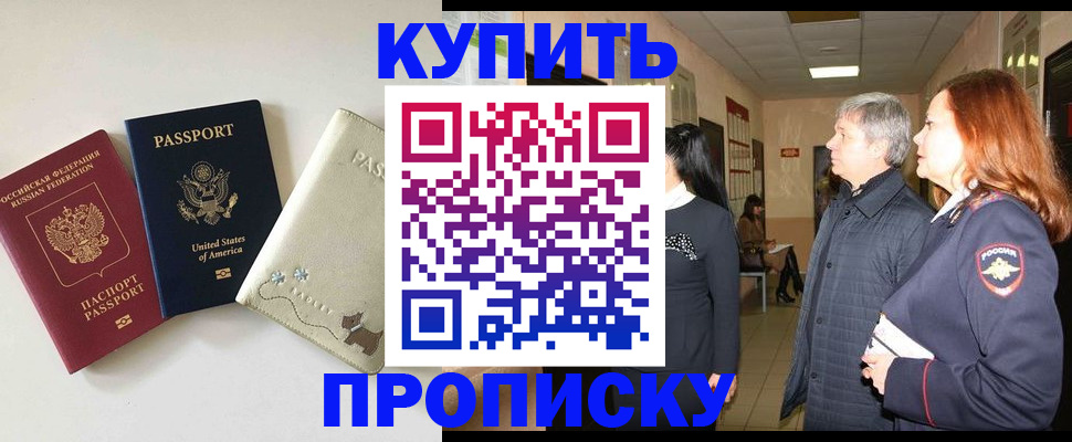 где прописаться в Завитинске